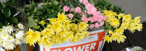 Midsommar Flowers